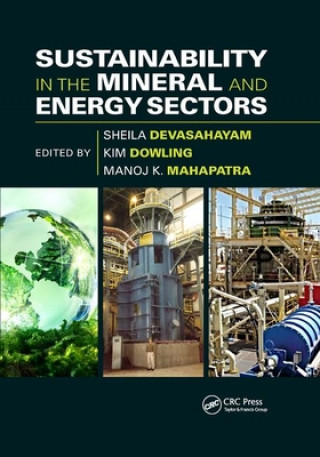 Книга Sustainability in the Mineral and Energy Sectors 