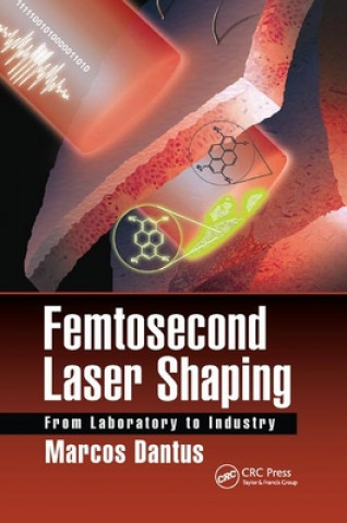 Könyv Femtosecond Laser Shaping Marcos Dantus