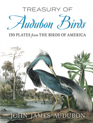 Knjiga Treasury of Audubon Birds John James Audubon