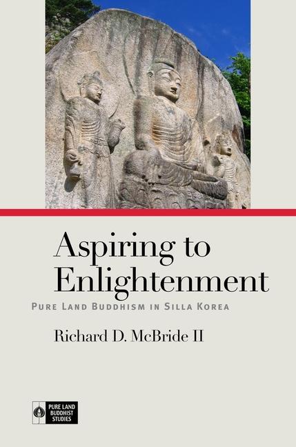 Kniha Aspiring to Enlightenment Richard K. Payne