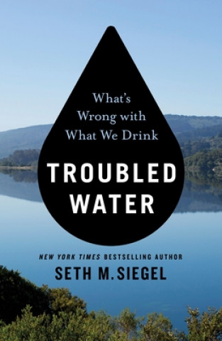 Книга Troubled Water 