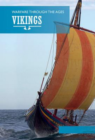 Buch Vikings Kim Hjardar