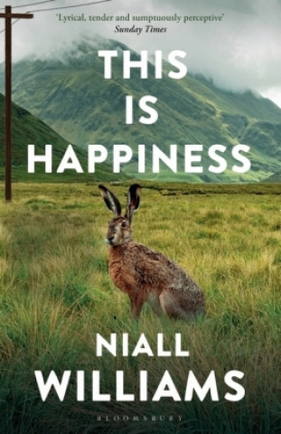 Kniha This Is Happiness WILLIAMS NIALL