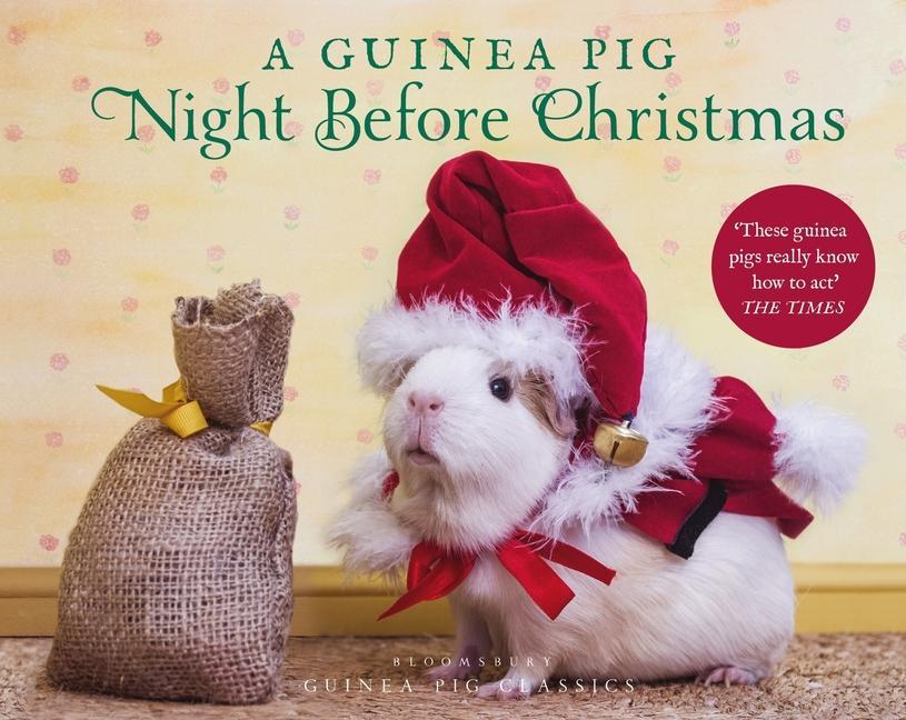Carte Guinea Pig Night Before Christmas Tess Newall