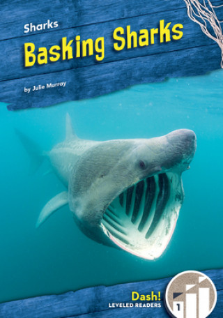 Knjiga Basking Sharks Julie Murray