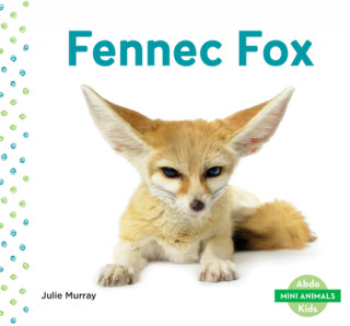 Knjiga Fennec Fox Julie Murray