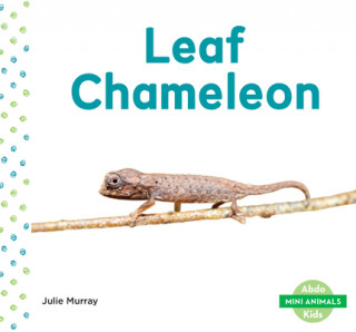 Книга Leaf Chameleon Julie Murray