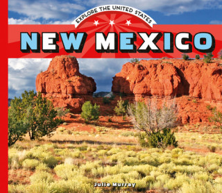 Libro New Mexico Julie Murray