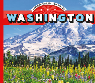 Book Washington Sarah Tieck