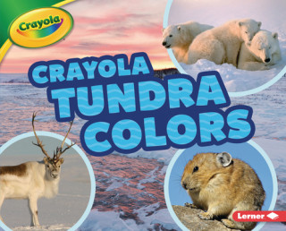 Książka Crayola (R) Tundra Colors 