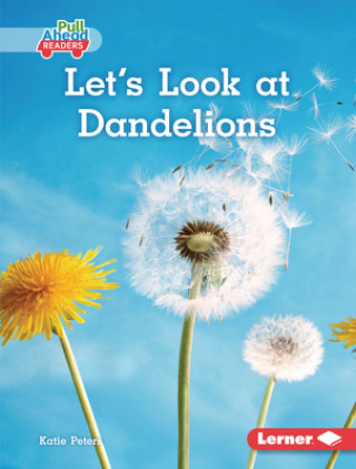 Kniha Let's Look at Dandelions 