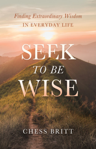 Libro Seek to Be Wise: Finding Extraordinary Wisdom in Everyday Life 