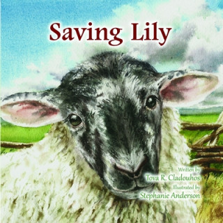 Kniha Saving Lily Stephanie Anderson