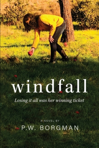 Libro Windfall P. W. Borgman