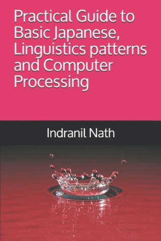 Knjiga Practical Guide to Basic Japanese, Linguistics patterns and Computer Processing Indranil Nath