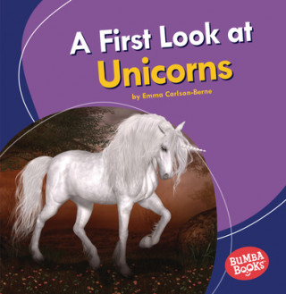 Книга A First Look at Unicorns 