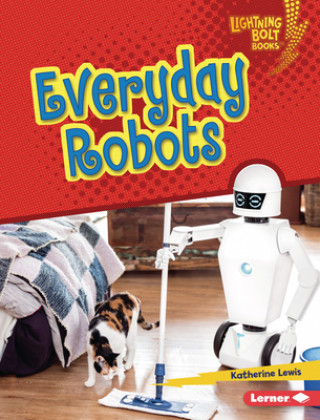 Livro Everyday Robots Katherine Lewis