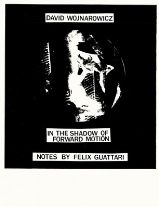 Kniha David Wojnarowicz: In the Shadow of Forward Motion David Wojnarowicz