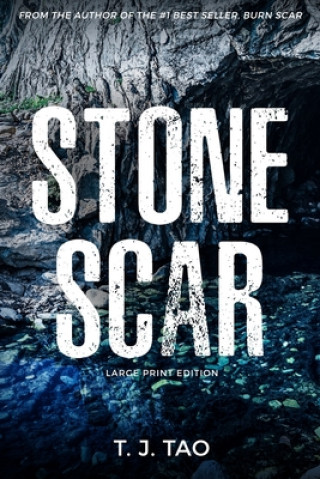 Carte Stone Scar: Angeline & Augustine Book #1 Large Print Edition 