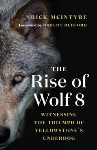 Książka Rise of Wolf 8 