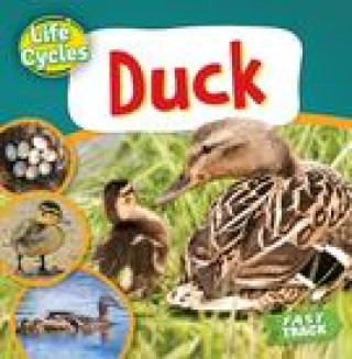 Knjiga Duck 