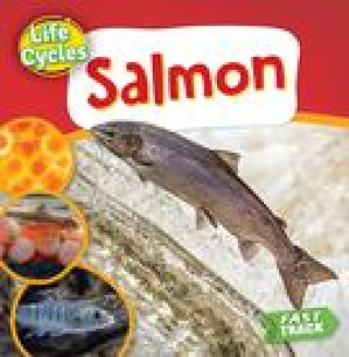 Buch Salmon Dickmann