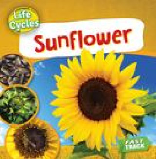 Knjiga Sunflower Dickmann