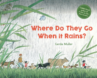 Книга Where Do They Go When It Rains? 
