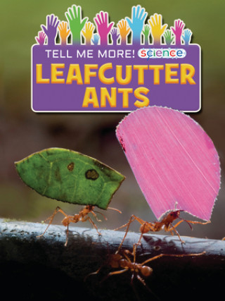 Buch Leafcutter Ants Ruth Owen