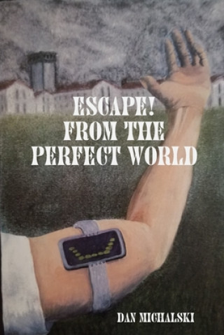 Книга Escape from the Perfect World Dan Michalski