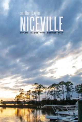 Knjiga another day in Niceville Jim Clark