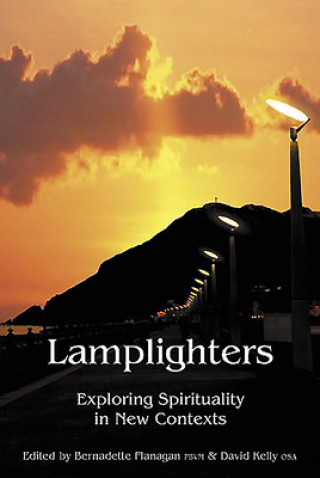 Kniha Lamplighters David Kelly
