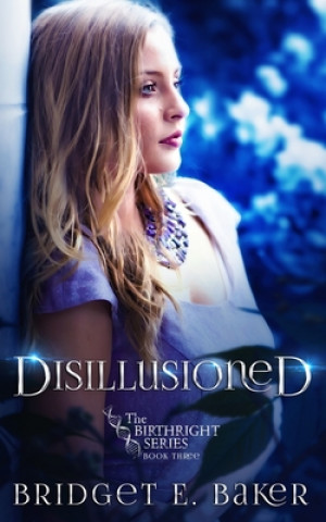 Book Disillusioned Bridget E. Baker