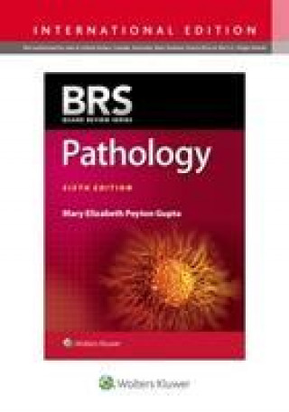Kniha BRS Pathology Gupta