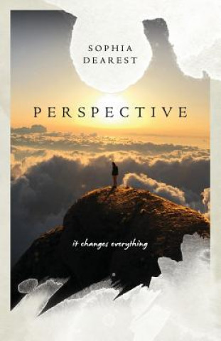 Livro Perspective Sonder Felicity