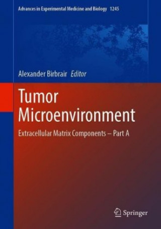Buch Tumor Microenvironment Alexander Birbrair