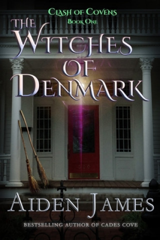 Knjiga Witches of Denmark Aiden James