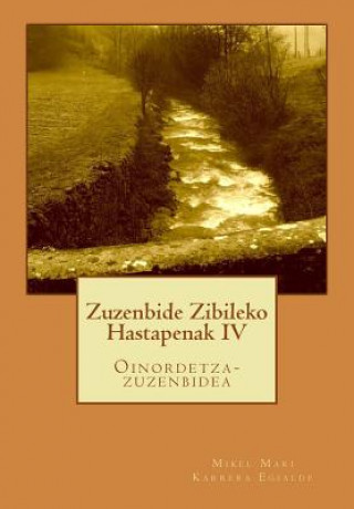 Könyv Zuzenbide Zibileko Hastapenak IV: Oinordetza-Zuzenbidea D Mikel Mari Karrera Egialde