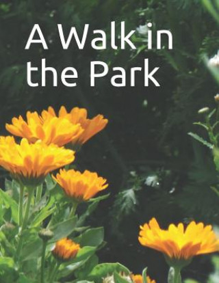 Carte A Walk in the Park: A senior reader picture book for memory care / dementia care Celia Ross