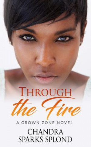 Book Through the Fire Chandra Sparks Taylor
