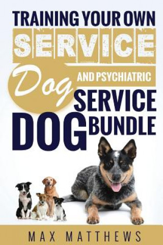 Kniha Service Dog: Training Your Own Service Dog AND Psychiatric Service Dog BUNDLE! Max Matthews