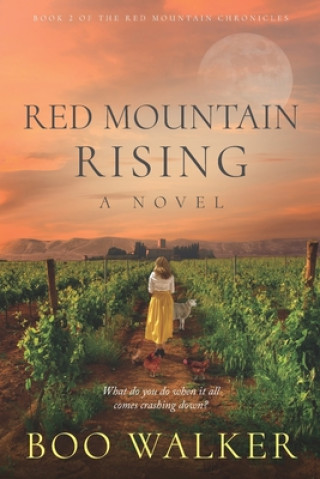 Buch Red Mountain Rising Boo Walker