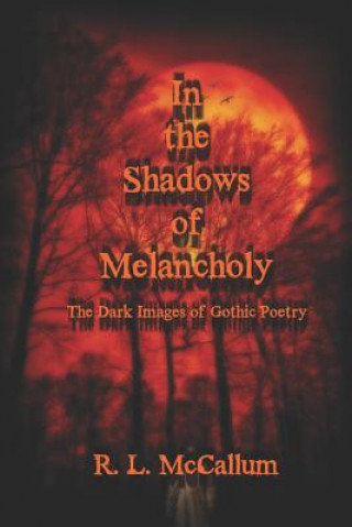 Könyv In the Shadows of Melancholy: The Dark Images of Gothic Poetry R L McCallum