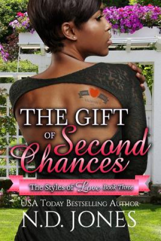 Kniha Gift of Second Chances Kathryn Schieber