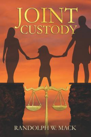 Книга Joint Custody Barbara Joe