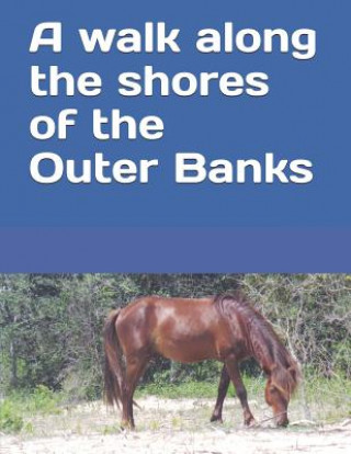 Könyv A walk along the shores of the Outer Banks: A senior reader picture book / travel magazine for memory care / dementia care Celia Ross