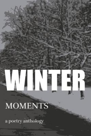 Libro Winter Moments Kevin Watt