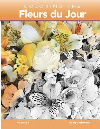 Kniha Coloring the Fleurs du Jour Volume 2 Evelyn Alemanni