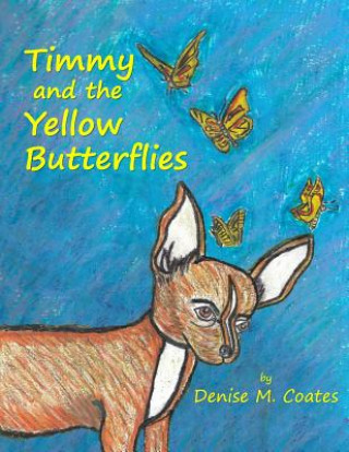 Könyv Timmy and the Yellow Butterflies Denise M Coates