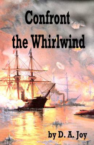 Knjiga Confront the Whirlwind D a Joy